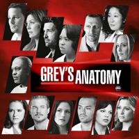 Grey S Anatomy Season 7 English Subtitles Episodes 1 22 Download Netraptor Subtitles