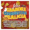 Grandes Orquestas de Galicia: Feliz 2014.