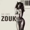 She Loves Zouk, Vol. 10, 2013