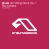 Something About You / First Contact - Single album lyrics, reviews, download