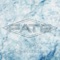 Fallen Angel (2007 Remastered Version) - Fate lyrics