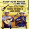 Música Caipira Autêntica de São Paulo, Vol. 1 (Região de Barretos), 2011