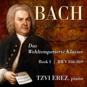 Das Wohltemperierte Klavier, Book 1: Fugue in E Minor, BWV 855 artwork