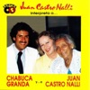 Juan Castro Nalli - El Surco