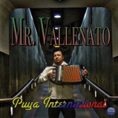 Mr. Vallenato - Puya Internacional