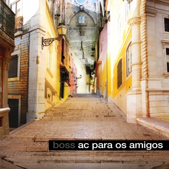 Cover artwork for Laia