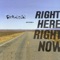 Right Here, Right Now - Single