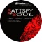 Satisfy My Soul (feat. Daniele Ravaioli) - Alberto Mangia & Ricky Pellegrino lyrics