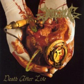 Death After Life