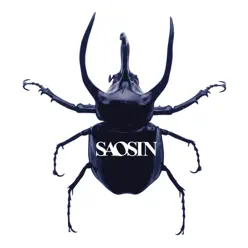 Voices (Acoustic) - Single - Saosin