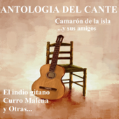 Antología del Cante: Camarón de la Isla ...Y Sus Amigos - Various Artists