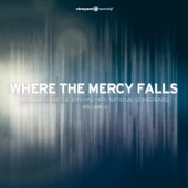 Where the Mercy Falls - Worship From the 2013 Vineyard National Conference, Vol. 2 (Live) artwork