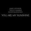 You Are My Sunshine - EP album lyrics, reviews, download