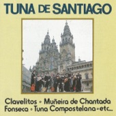 Tuna de Santiago artwork