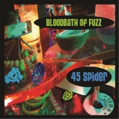 45 Spider - Bloodbath of Fuzz