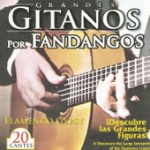 Grandes Gitanos por Fandangos artwork