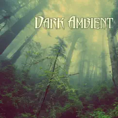 Dark Ambient Music - Nature Sounds, Creepy Soundscapes with Rain Background Sound by Dark Music Specialist & Ambient album reviews, ratings, credits