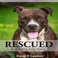 David D Lambert - Rescued: Based on a True Dog Story (Unabridged) artwork