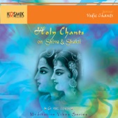 Holy Chants On Shiva & Shakti artwork