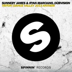 Triton (Dance Valley 2013 Anthem) - Single - DubVision Triton (Dance Valley 2013 Anthem) - Single - DubVision