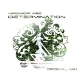 Determination artwork