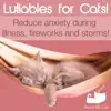 Lullabies for Cats! - Reduce Anxiety During Illness, Fireworks and Storms! album lyrics, reviews, download
