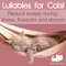 Night Time Whisper - RelaxMyCat lyrics