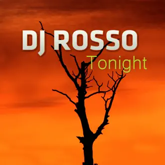 Tonight (Bietto Extended) by DJ Rosso song reviws