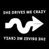 She Drives Me Crazy - Single
