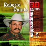 Roberto Pulido - Obsesion