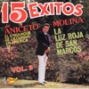 15 Éxitos, Vol. 2