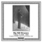 Big Bill Broonzy, Vol. 13 (1949-1951)