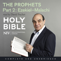 New International Version - NIV Bible 6: The Prophets - Part 2 (Unabridged) artwork