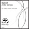 Arctic Echoes (Mosahar Remix) - Samvel lyrics