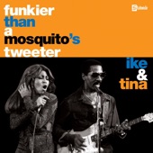 Funkier Than a Mosquito's Tweeter artwork