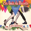 Les amis du musette, vol. 2 (20 artistes), 2015