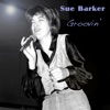 Sue Barker - Do Nothing Till You Hear From Me