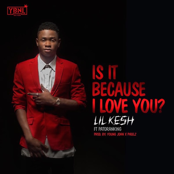 Is It Because I Love You (feat. Patoranking)