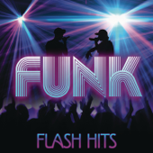 Funk Flash Hits - Verschiedene Interpreten