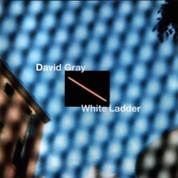 David Gray - Please Forgive Me