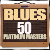 Blues 50 Platinum Masters - Artisti Vari