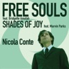 Free Souls - Shades Of Joy - Single