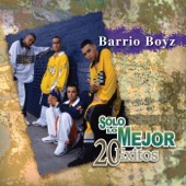 Sólo Lo Mejor - 20 Exitos: Barrio Boyzz artwork