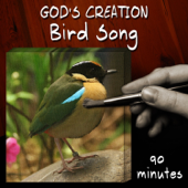 Bird Song - God's Creation