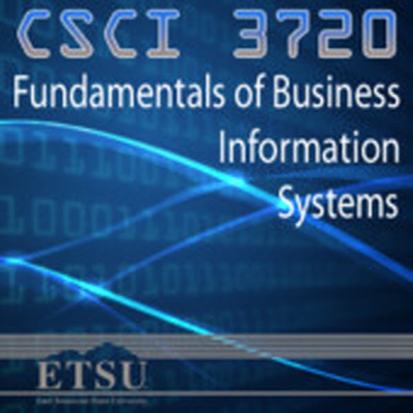 Fundamentals of Business Information Systems (Fall 2013) cover
