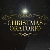 English Baroque Soloists,John Eliot Gardiner - J.S. Bach: Christmas Oratorio, BWV 248 / Part Two - For The Second Day Of Christmas - No.15 Aria (Tenor): "Frohe Hirten, eilt, ach eilet"