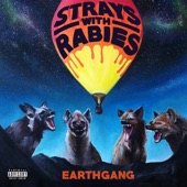 Strays with Rabies artwork