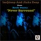 Never Surrender (Imq Remix) [feat. Rocio Starry] - IsaQdeep & JinksDeep lyrics