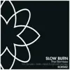 Slow Burn - The Remixes - Single album lyrics, reviews, download