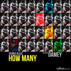 How Many (feat. Damey) Song Lyrics